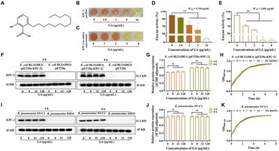 Ginkgolic Acid as a carbapenem synergist against KPC-2 positive Klebsiella pneumoniae